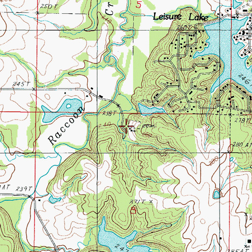 Topographic Map of Raccoon Church, MO
