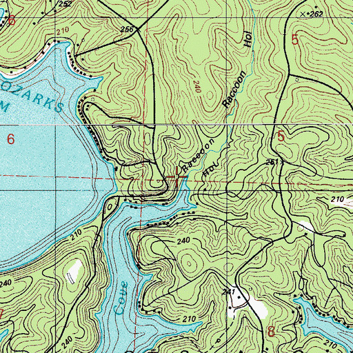 Topographic Map of Raccoon Hollow, MO