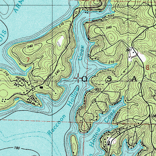 Topographic Map of Raccoon Hollow Cove, MO