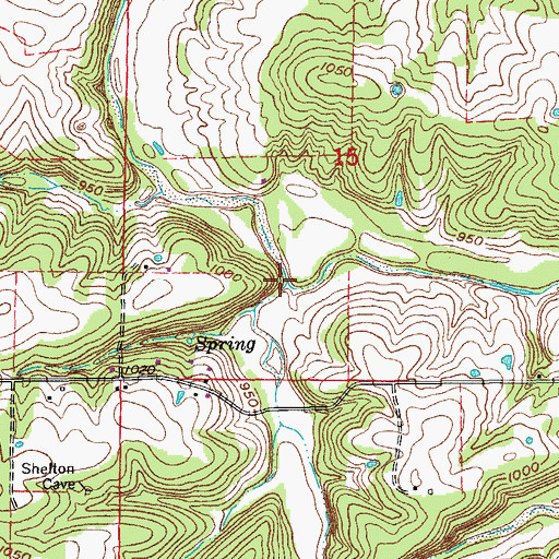 Topographic Map of Ragan Branch, MO