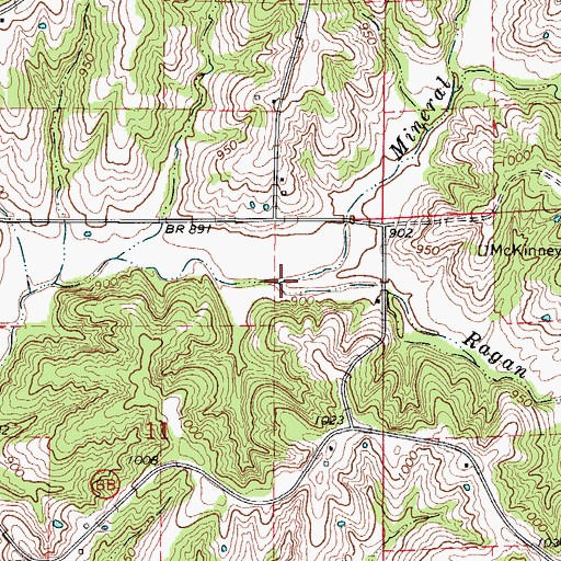 Topographic Map of Ragan Branch, MO