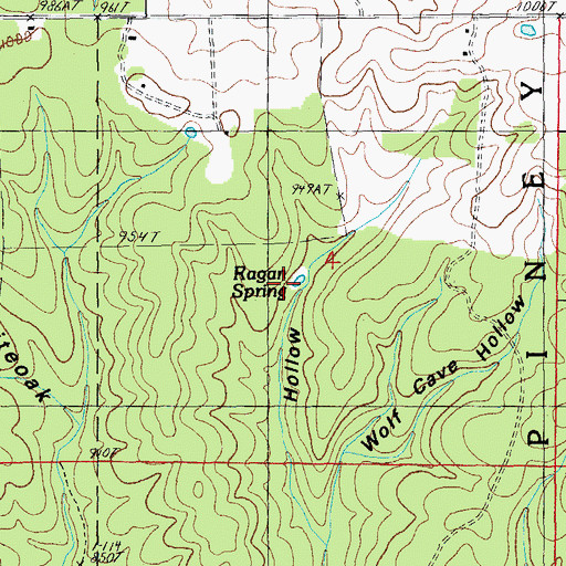 Topographic Map of Ragan Spring, MO