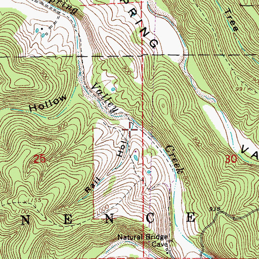 Topographic Map of Rail Hollow, MO