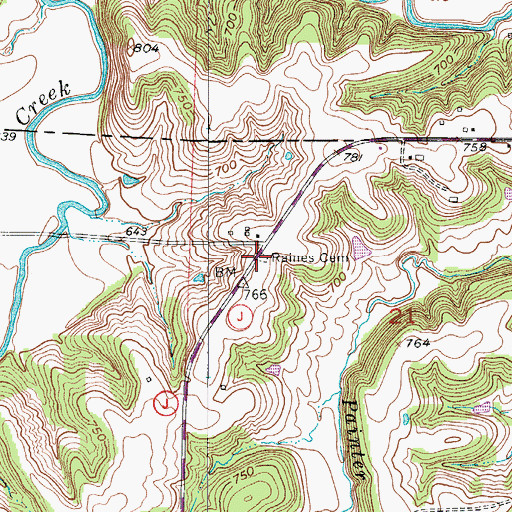 Topographic Map of Raines Cemetery, MO