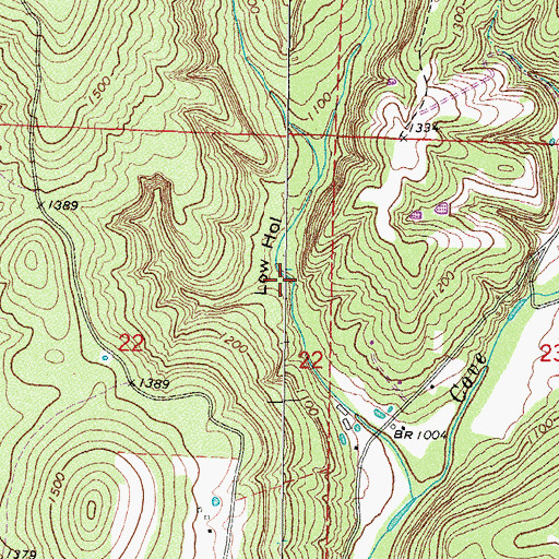 Topographic Map of Low Hollow, AR