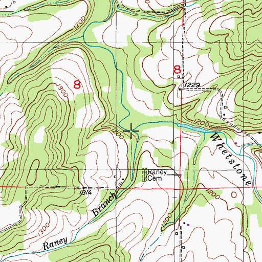 Topographic Map of Raney Branch, MO