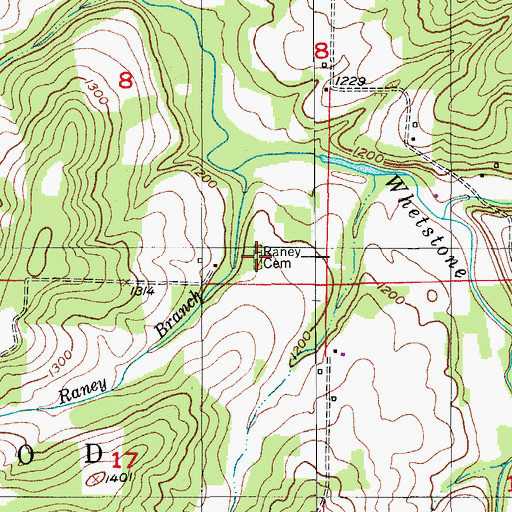 Topographic Map of Raney Cemetery, MO