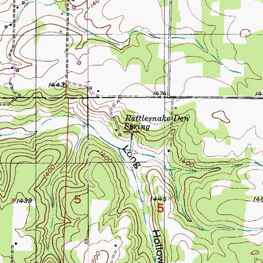 Topographic Map of Rattlesnake Den Spring, MO