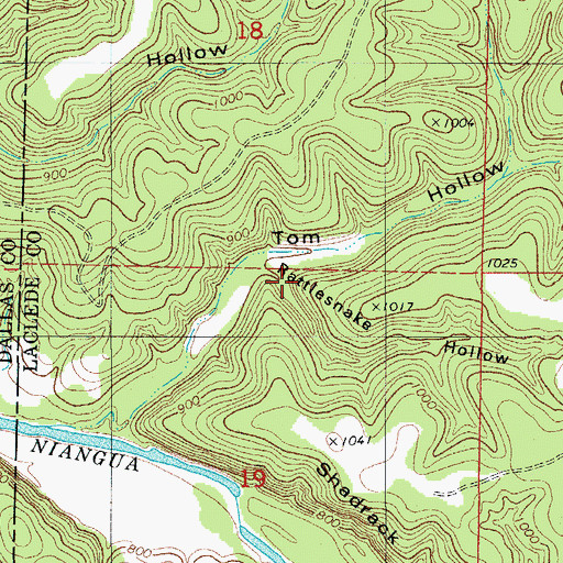 Topographic Map of Rattlesnake Hollow, MO
