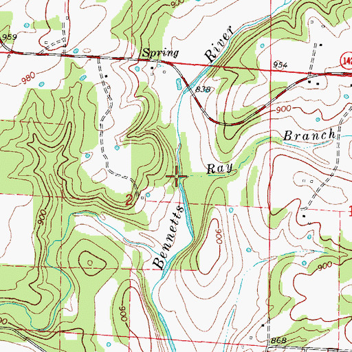 Topographic Map of Ray Branch, MO