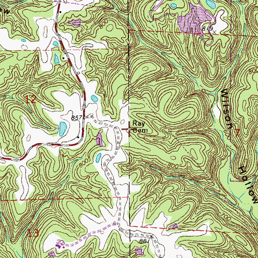 Topographic Map of Ray Cemetery, MO