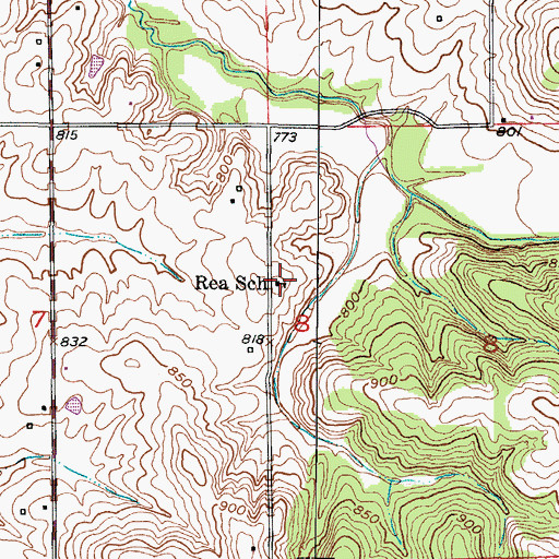 Topographic Map of Rea School, MO