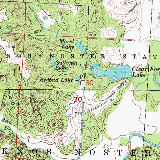 Topographic Map of Redbud Lake, MO
