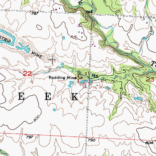 Topographic Map of Redding Mine, MO