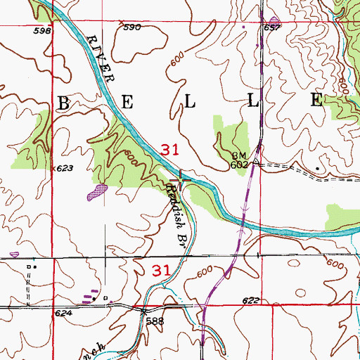 Topographic Map of Reddish Branch, MO