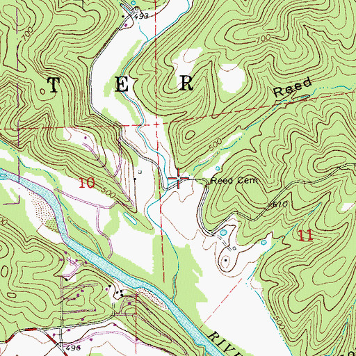 Topographic Map of Reed Hollow, MO