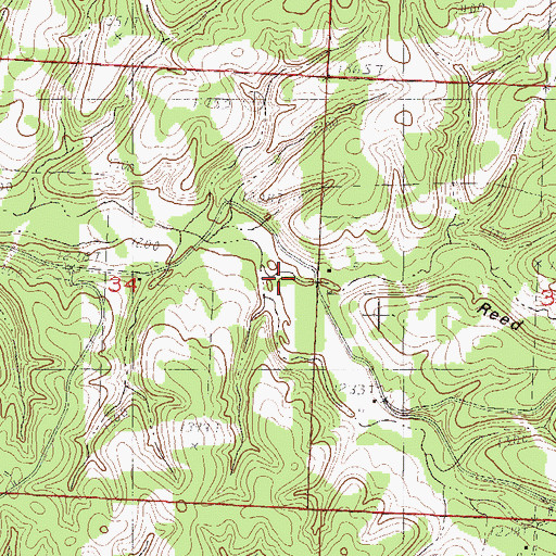 Topographic Map of Reed Springs Hollow, MO
