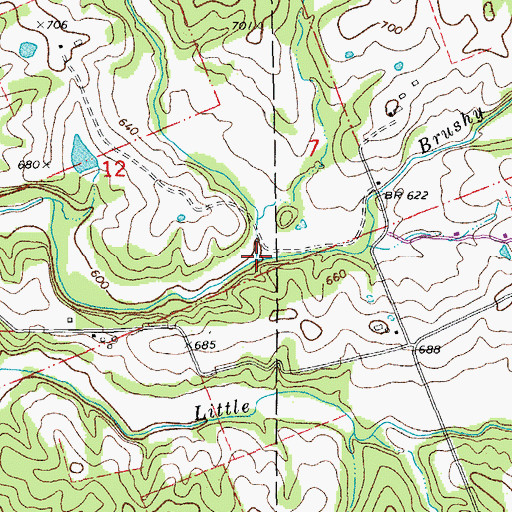 Topographic Map of Reid Creek, MO