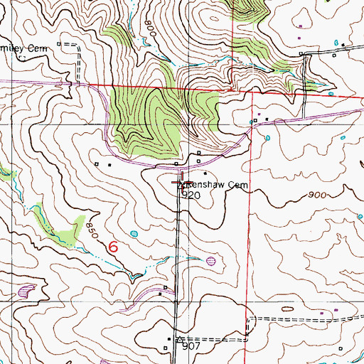 Topographic Map of Renshaw Cemetery, MO