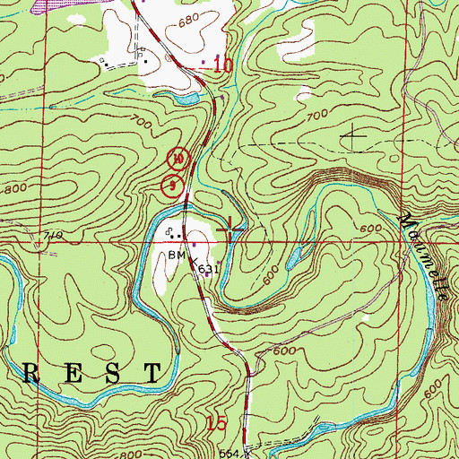 Topographic Map of Lyons Branch, AR