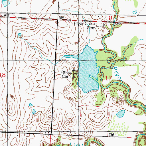 Topographic Map of Rhea Cemetery, MO