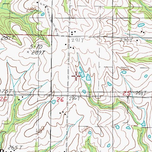 Topographic Map of Rice Town School (historical), MO