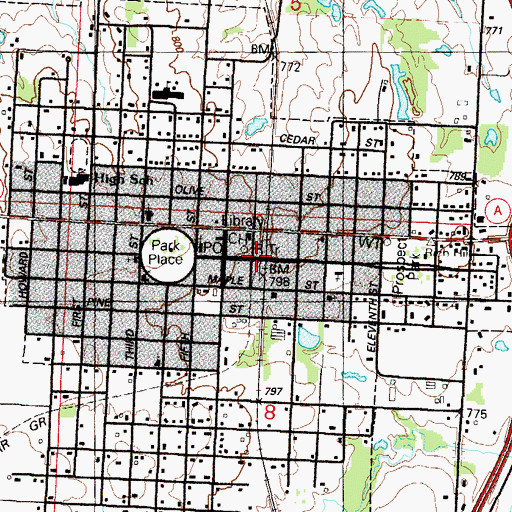 Topographic Map of Rich Hill, MO