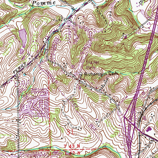 Topographic Map of Richardson Cemetery, MO