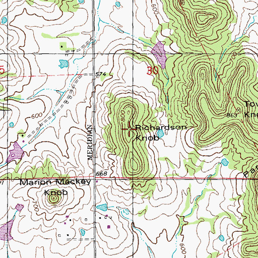 Topographic Map of Richardson Knob, MO