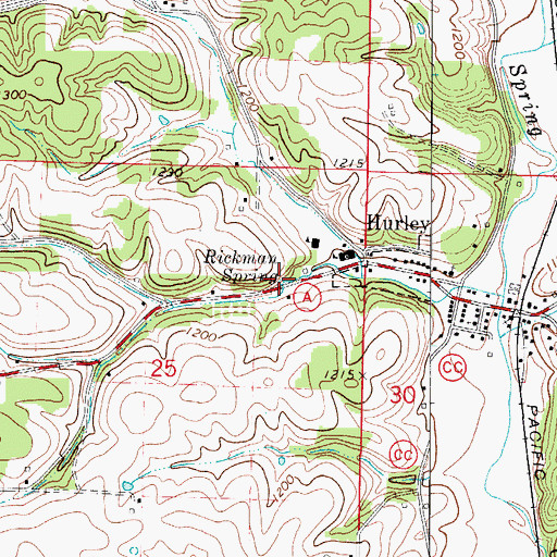 Topographic Map of Rickman Spring, MO