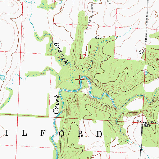 Topographic Map of Ring Branch, MO