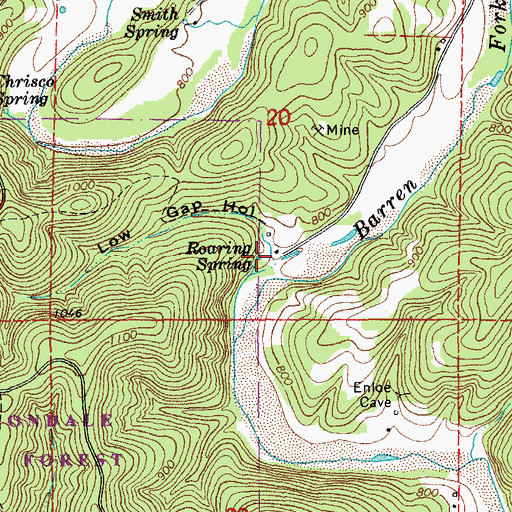 Topographic Map of Roaring Spring, MO