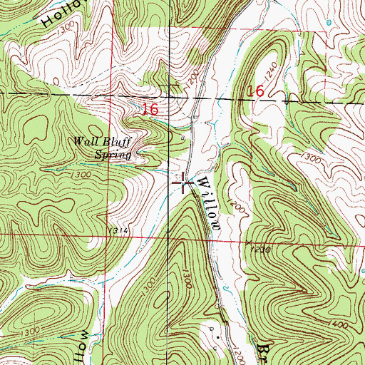 Topographic Map of Roark Hollow, MO
