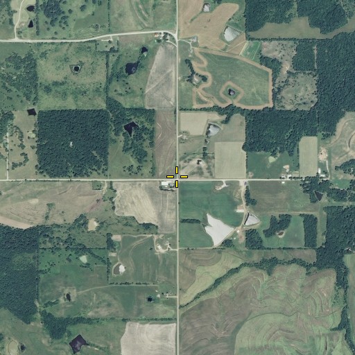 Aerial/Satellite Image of Roasting Ear School (historical), MO