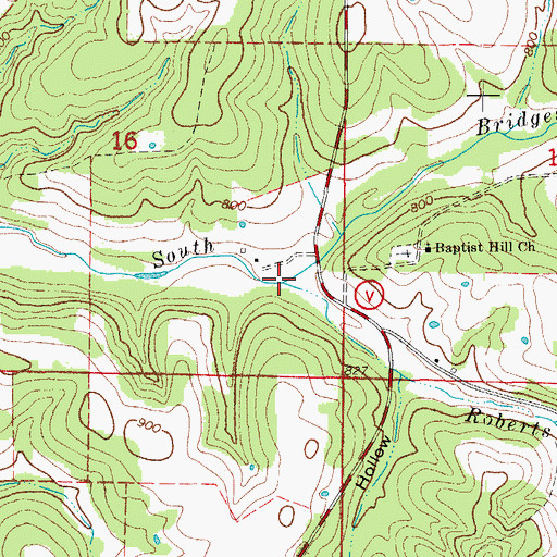 Topographic Map of Roberts Branch, MO