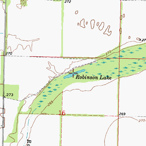 Topographic Map of Robinson Lake, MO