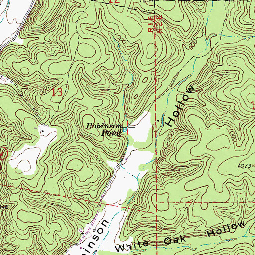 Topographic Map of Robinson Pond, MO