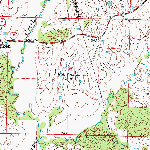 Topographic Map of Robison Cemetery, MO