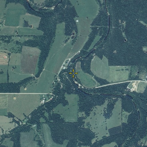 Aerial/Satellite Image of Rocky Branch, MO