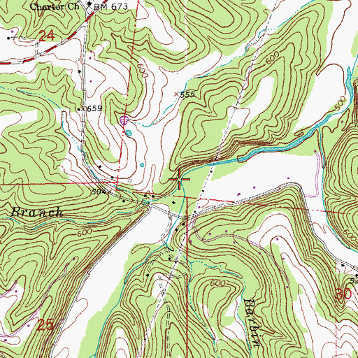 Topographic Map of Rocky Branch, MO