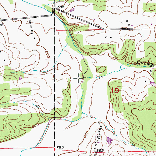 Topographic Map of Rocky Branch, MO