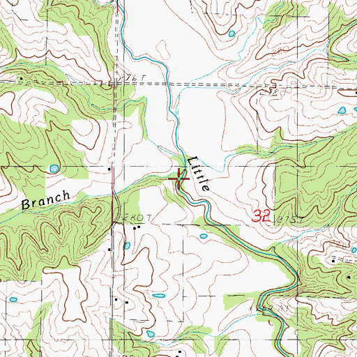 Topographic Map of Rocky Branch, MO