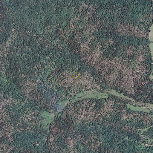Aerial/Satellite Image of Round Hill, MO