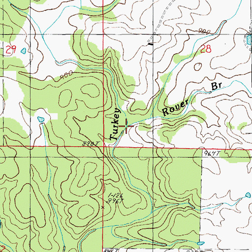 Topographic Map of Rover Branch, MO