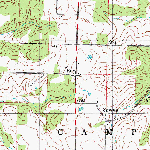 Topographic Map of Roy, MO