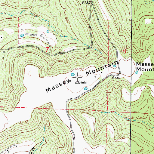 Topographic Map of Massey Mountain, AR