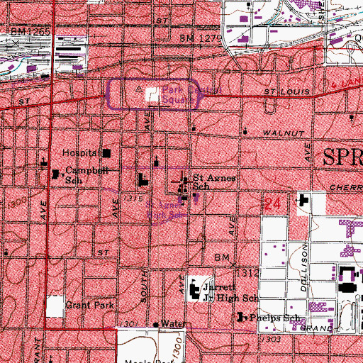 Topographic Map of Saint Agnes School, MO