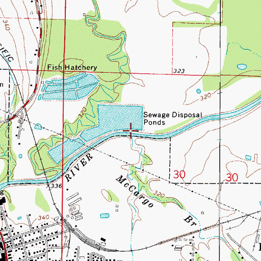 Topographic Map of McCargo Branch, AR