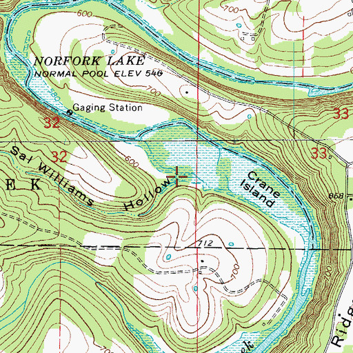 Topographic Map of Sal Williams Hollow, MO