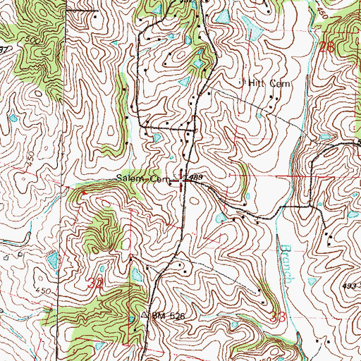 Topographic Map of Salem Cemetery, MO
